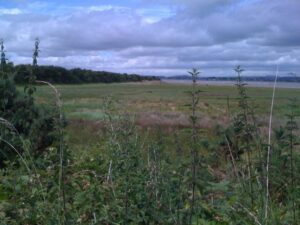 View of Scotland