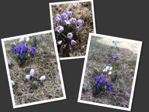 photo 2-13