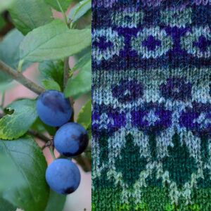Sloes