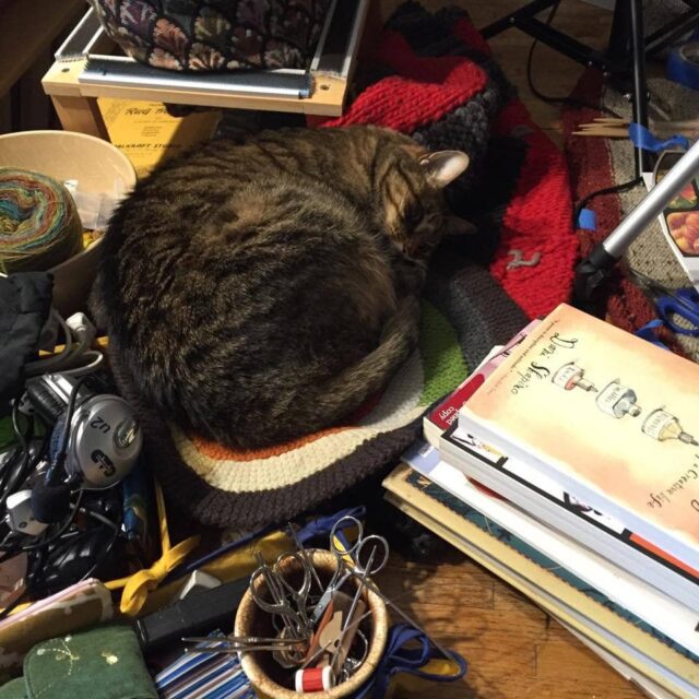 Cat Helper