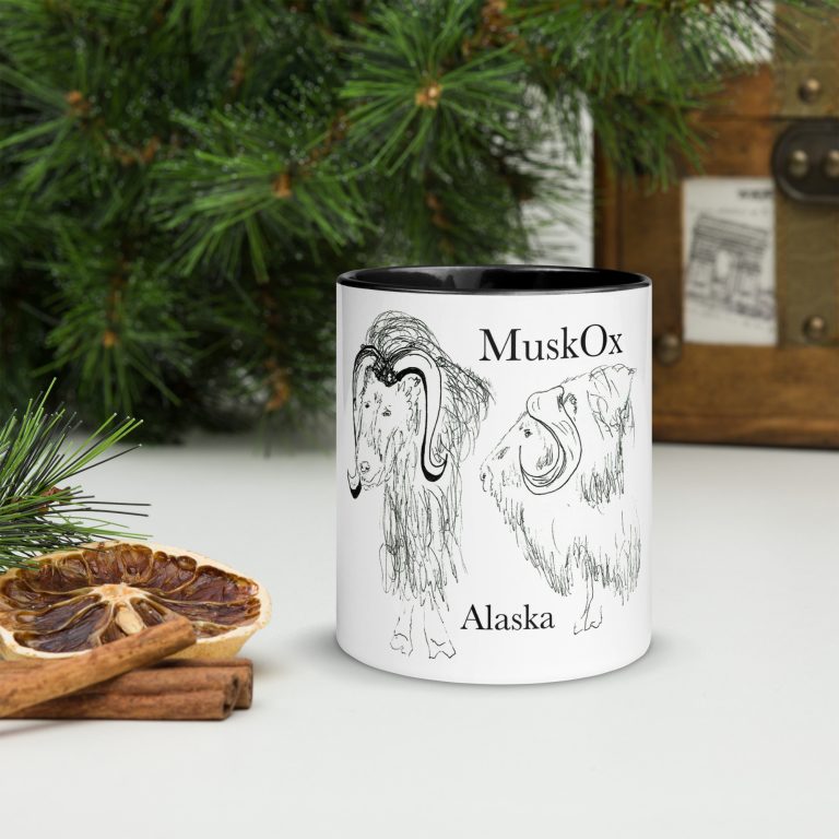 mug with color inside