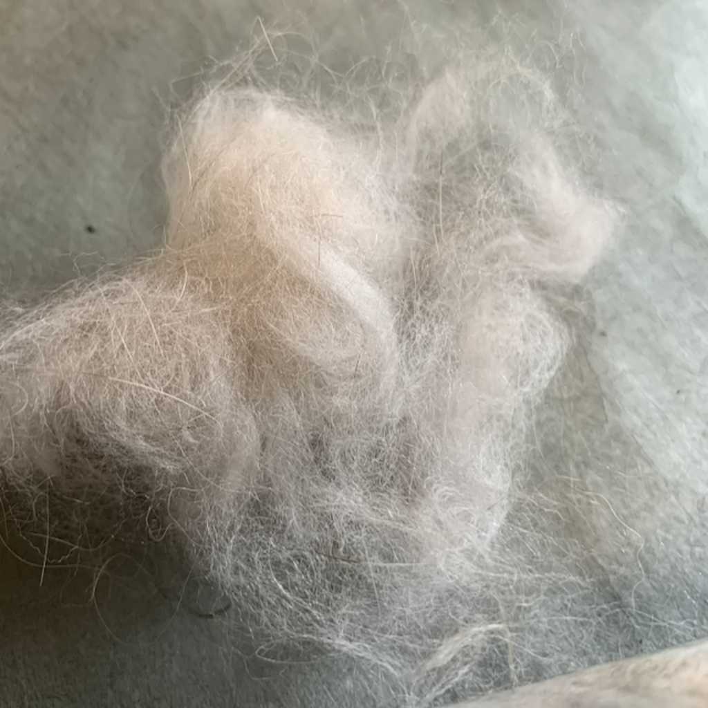 Raw Angora Rabbit Fiber 1oz- Sheeptoshawl.com - Image 7