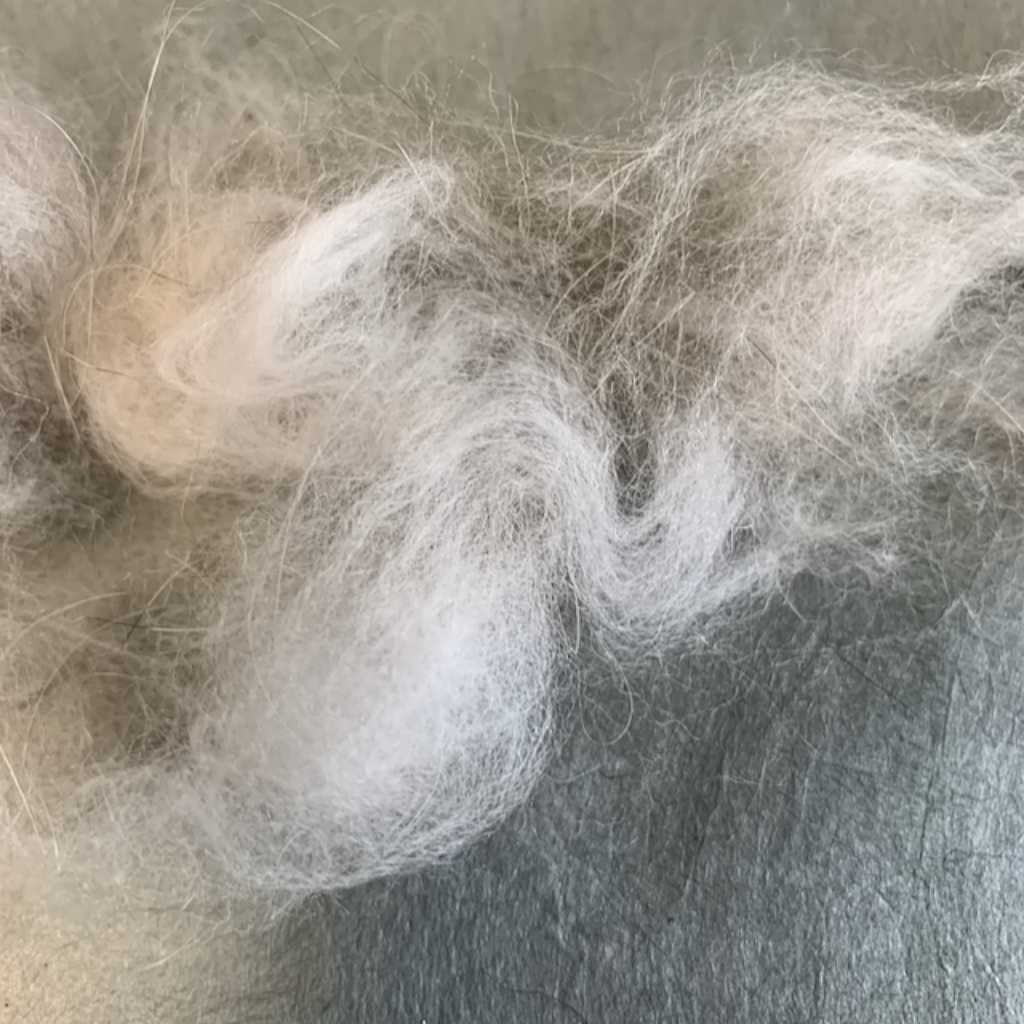 Raw Angora Rabbit Fiber 1oz- Sheeptoshawl.com - Image 5