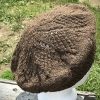Grandma’s Doily Tam Pattern